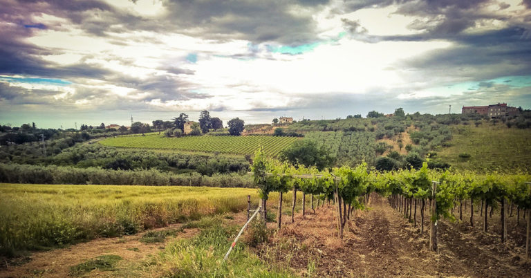 Vinranker i Abruzzo