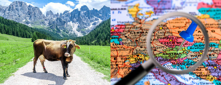 Kart over østerrike og en ku