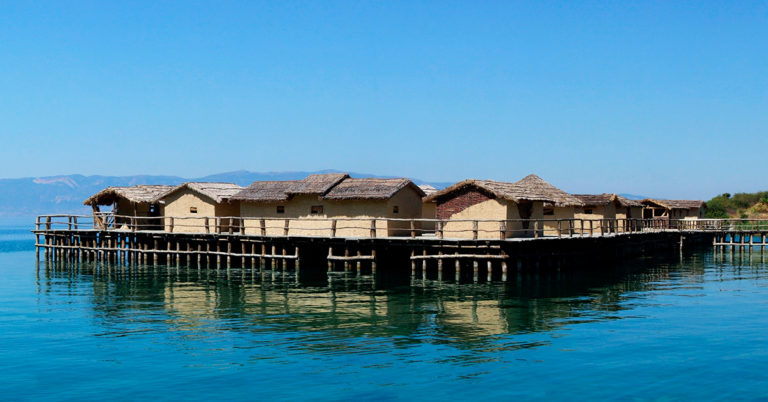 Lace Orchid i Albania