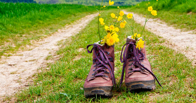 Tursko med blomster i