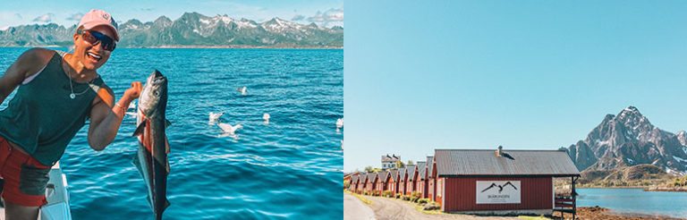 Skårungen rorbuer er en super base for opplevelser i Lofoten