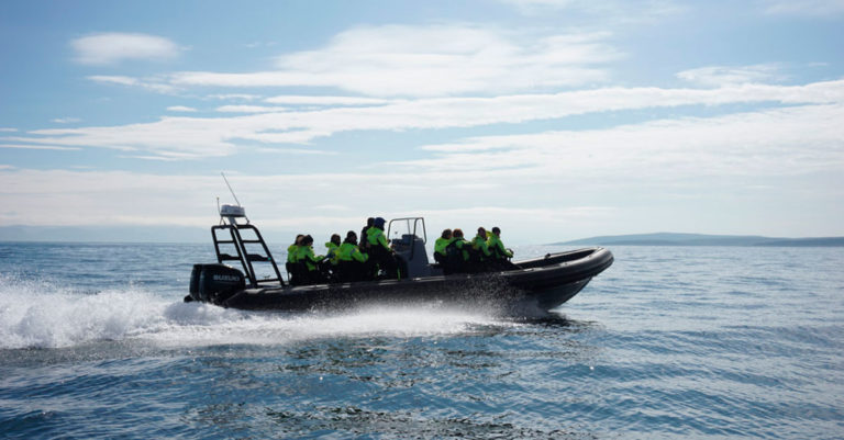 Havsafari i Finnmark