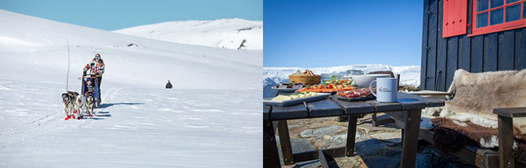 Hundesledetur til Skaupa-hytta på Hardangervidda