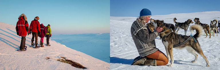 Truger og hunder på Hardangervidda
