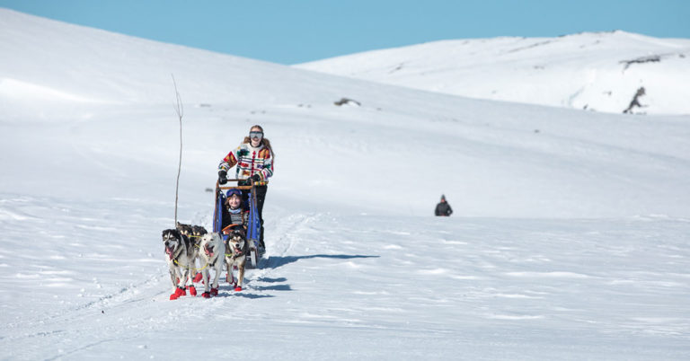 Dame med passasjer på Hundesledetur på Hardangervidda