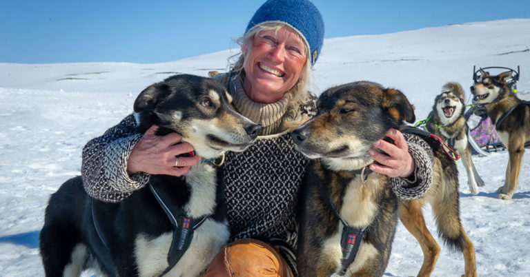 Kos med hunder på hundesledetur