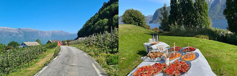 Piknik ved Hardangerfjorden