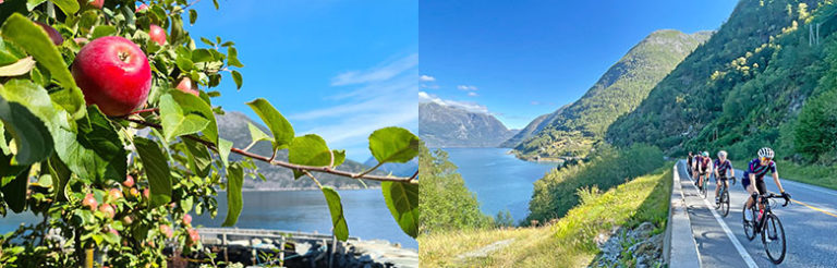 Syklister og blomstring ved hardangerfjorden