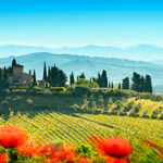 Typisk natur i Toscana
