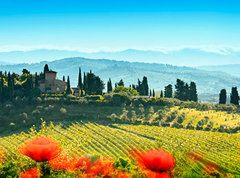 Typisk natur i Toscana