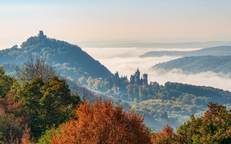 Sykkelferie langs romantiske Rhinen – på egenhånd
