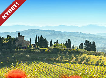 Lite bilde av typisk toscansk natur