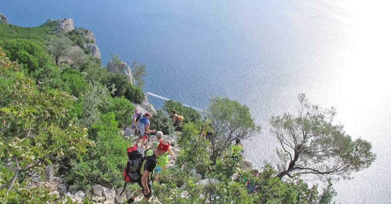 Bratt sti Selvaggio Blu