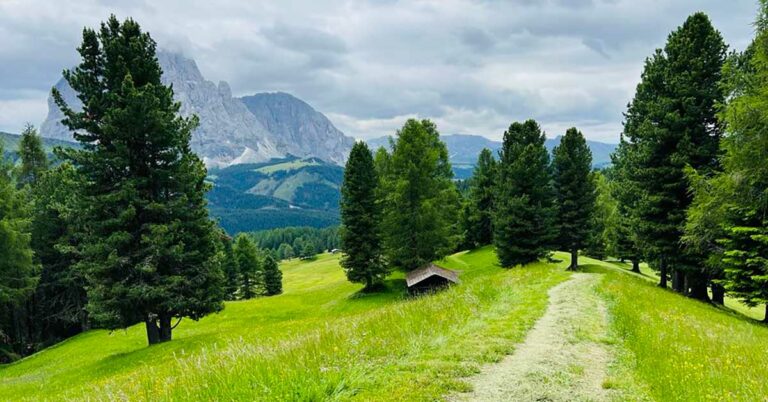 Sti og fjell i Sella Ronda og Val di Fassa