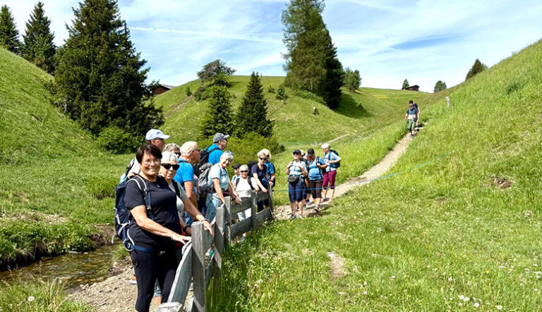 Godt Voksen-gjeng i herlig, grønn eng i Dolomittene