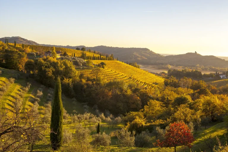 Vakkert landskap i ved Gradisca i Friuli, Italia