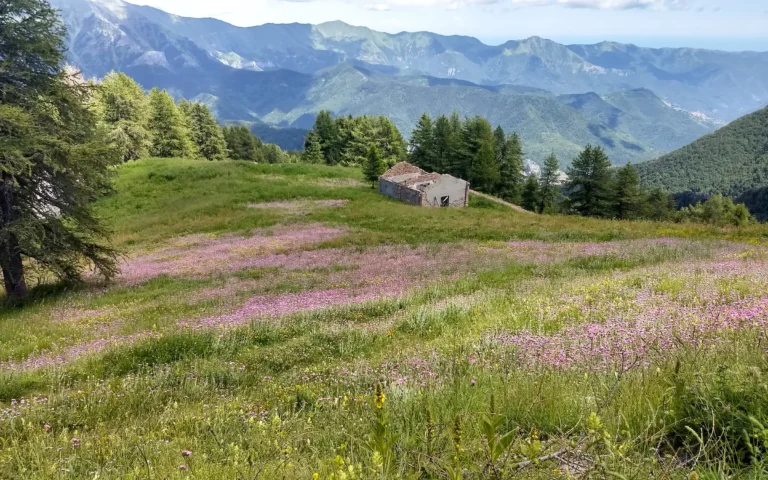 Terrengsykkeltur fra De maritime Alpene til Middelhavet - Via del Sale - med Expa Travel