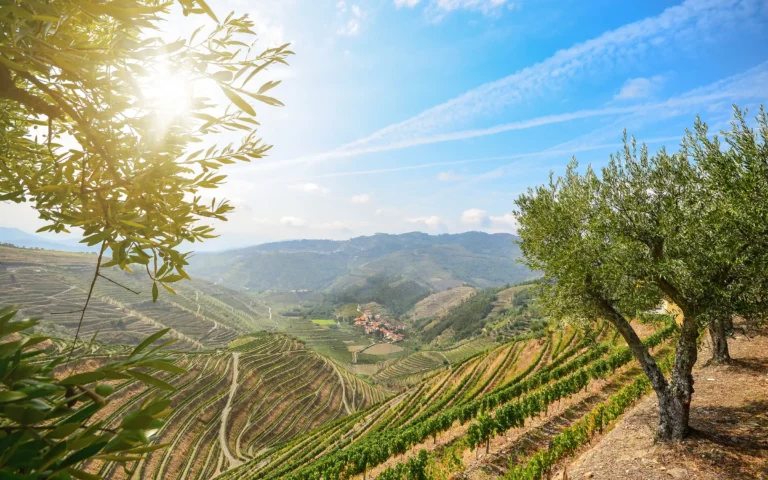 Fottur i Duoro-dalen i Portugal - vin, kultur og UNESCO-arv