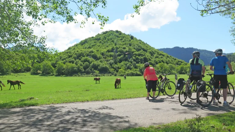 Villhester langs veiene i Albania