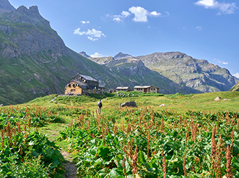 Rifugio Bezzi i Gran Paradiso Nasjonalpark, Piemonte, Italia